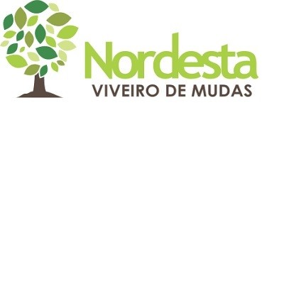 VIVEIRO NORDESTA