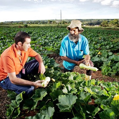 Projetos para Crédito Rural- SICOOB e BANCO DO BRASIL